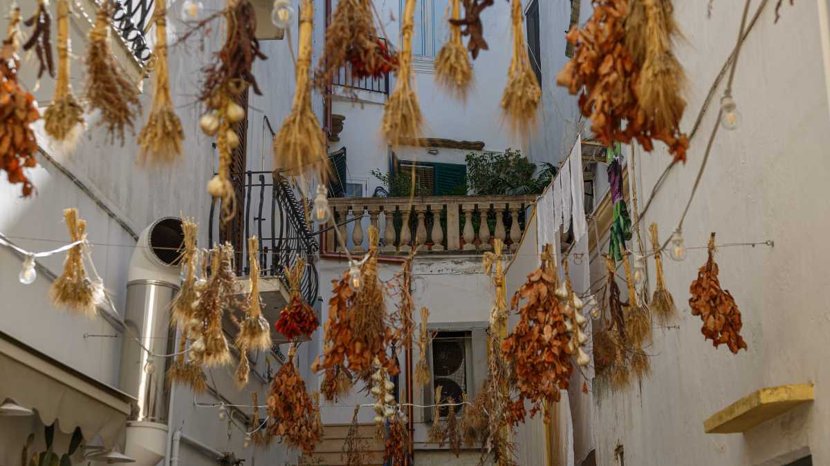 Come arrivare a Gallipoli da Lecce: tutte le opzioni aggiornate 2026