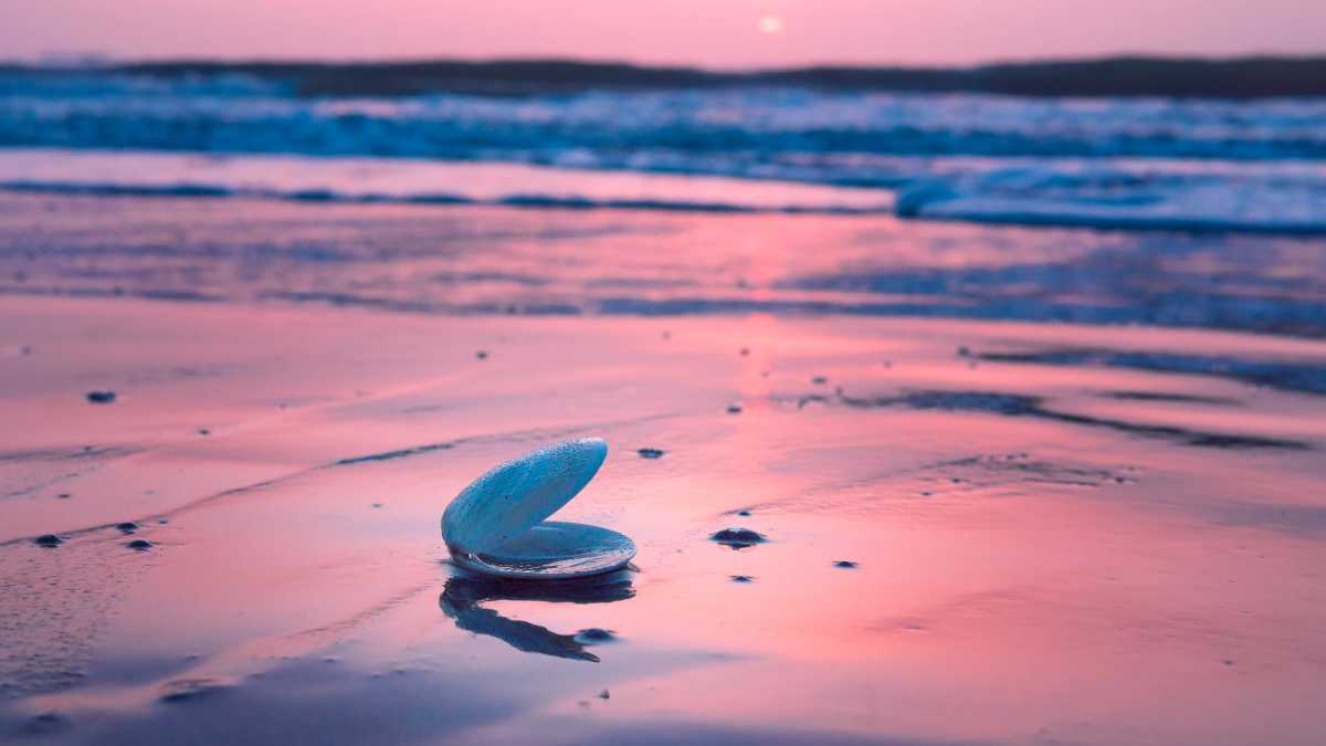 Confronto tra Baia Verde, Punta della Suina e Rivabella: quale spiaggia scegliere a Gallipoli
