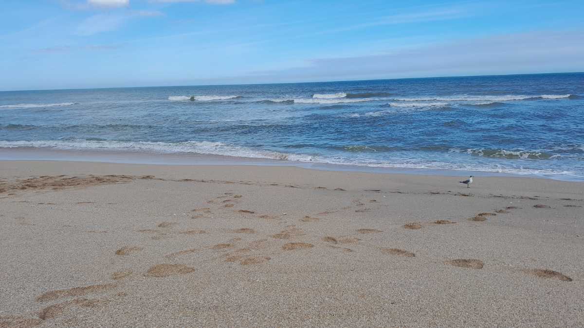 Gallipoli e dintorni in autobus: come visitare le spiagge senza auto